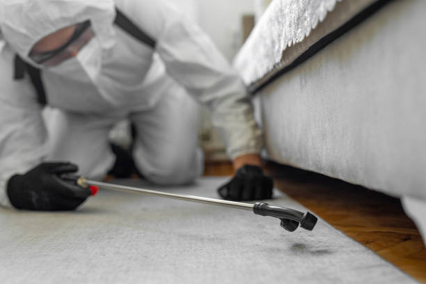 Professional Cockroach Control technician working in Newport, RI