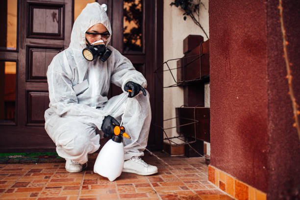 Reliable Cockroach Control contractor in Newport, RI by Nex Pest Control